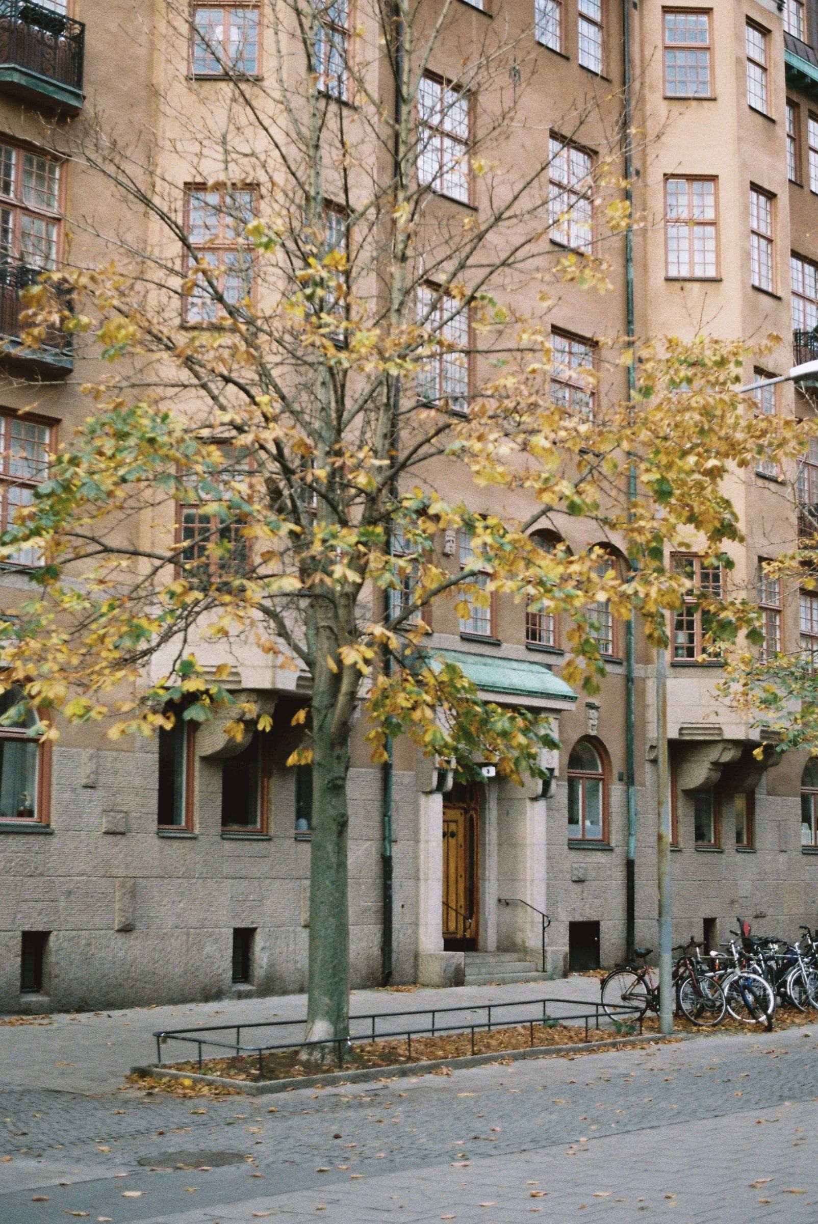 Vanha kivikerrostalo ja keltalehtinen puu syksyllä