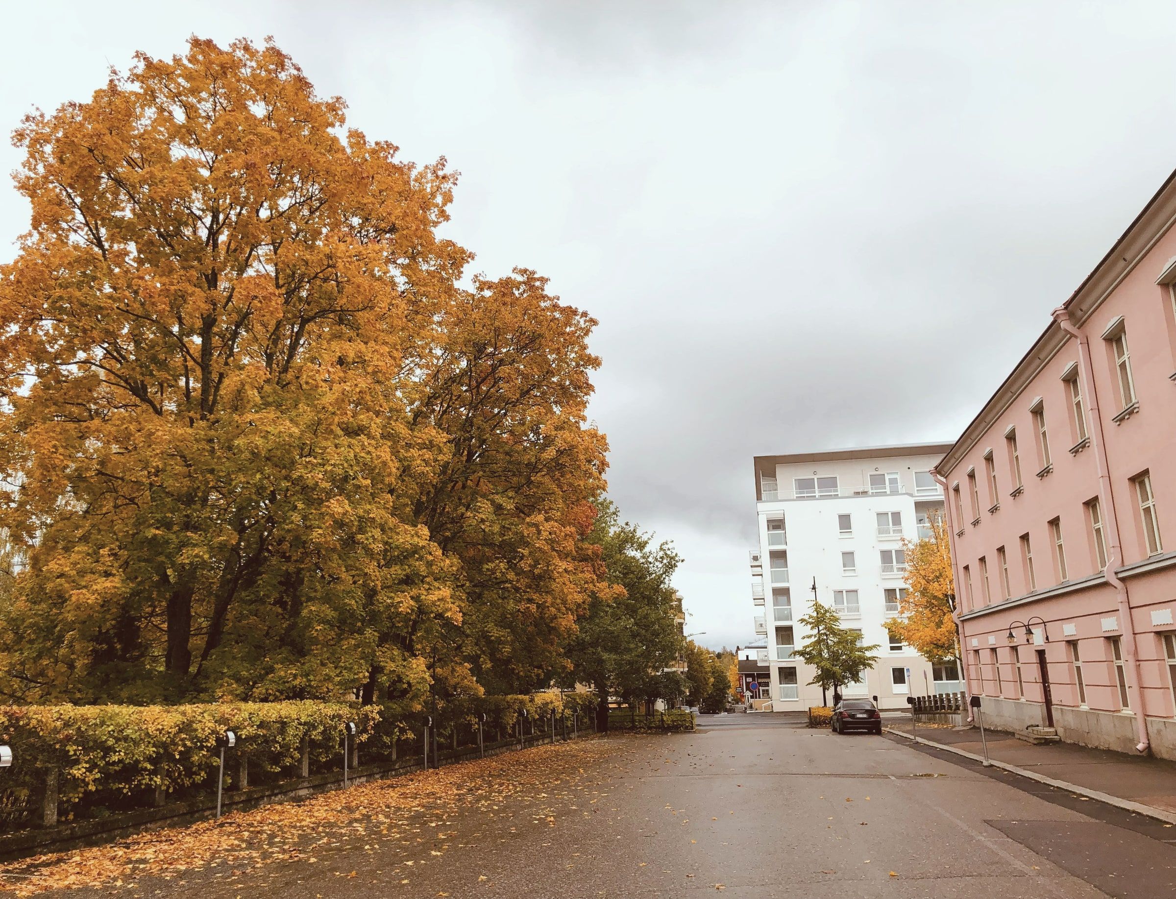 Syksyinen katu kerrostalojen välissä
